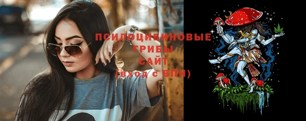 соль ск Балахна