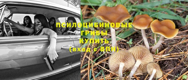 соль ск Балахна